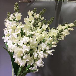 ������~���w������_�m��c��Y·���廨���S���l�羳���R�d�Ҿ�