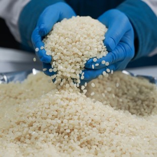 PHA biodegradable low temperature processing paper-plastic composite emulsion coating extrusion injection molding