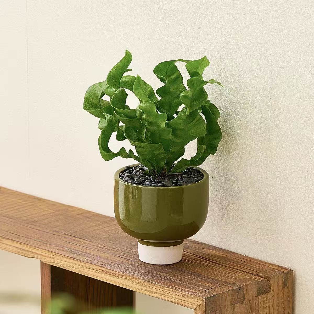 Creativa maceta verde árbol de hierro manzana verde bola de musgo / bambú batata hidroponía en maceta buena para mantener la mesa interior