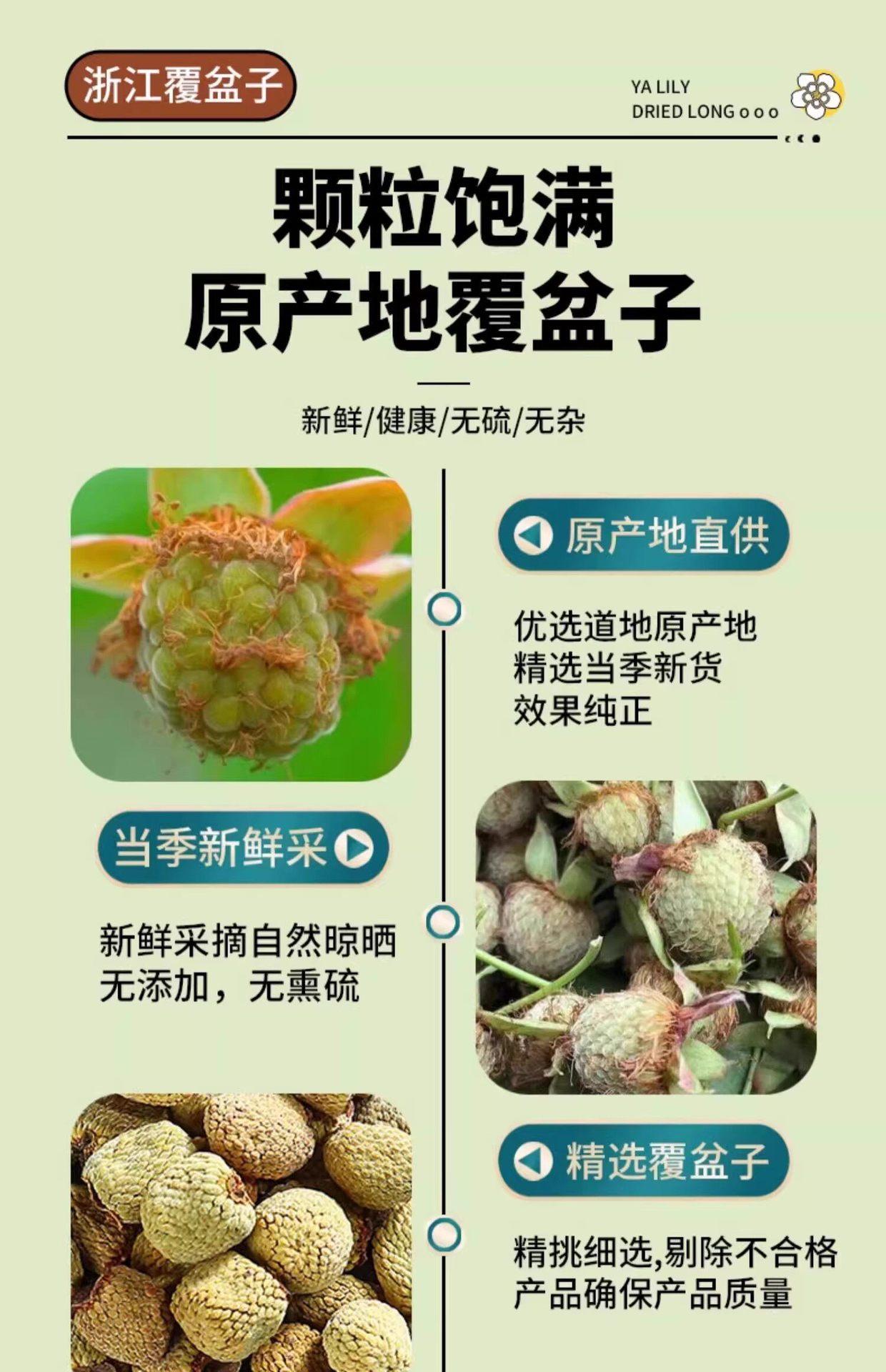 Fu Pen Zi Raspberry Dried Fruit Tea Chinese Herbal Tea for Daily Infusions 250g quality and texture