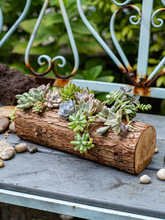 可代发 原木花槽多肉花器手工木槽花盆创意装饰自然摆件花园庭院