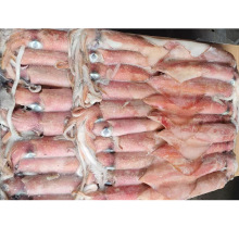 rكӡt~s30СP~ឺrˮa