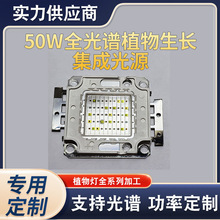 大功率COB集成灯珠COB集成植物灯高亮舞台灯投光灯光源美容仪器