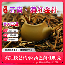 2025^²PcŘؼϵtᘽѿt