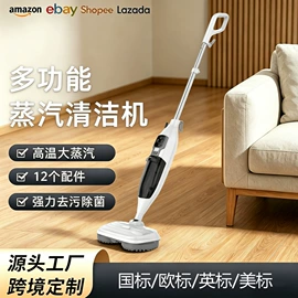 蒸汽拖把;家用吸尘器;蒸汽清洁机