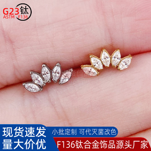 F136⁺Ͻ������R�۶���ᔶ�΁ᔃ�������� G23����w�����Ʒ