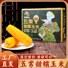 �峣��Ŵ�S�������r��Ŵ���װ�����_����ʳ�ּZ������װ����l