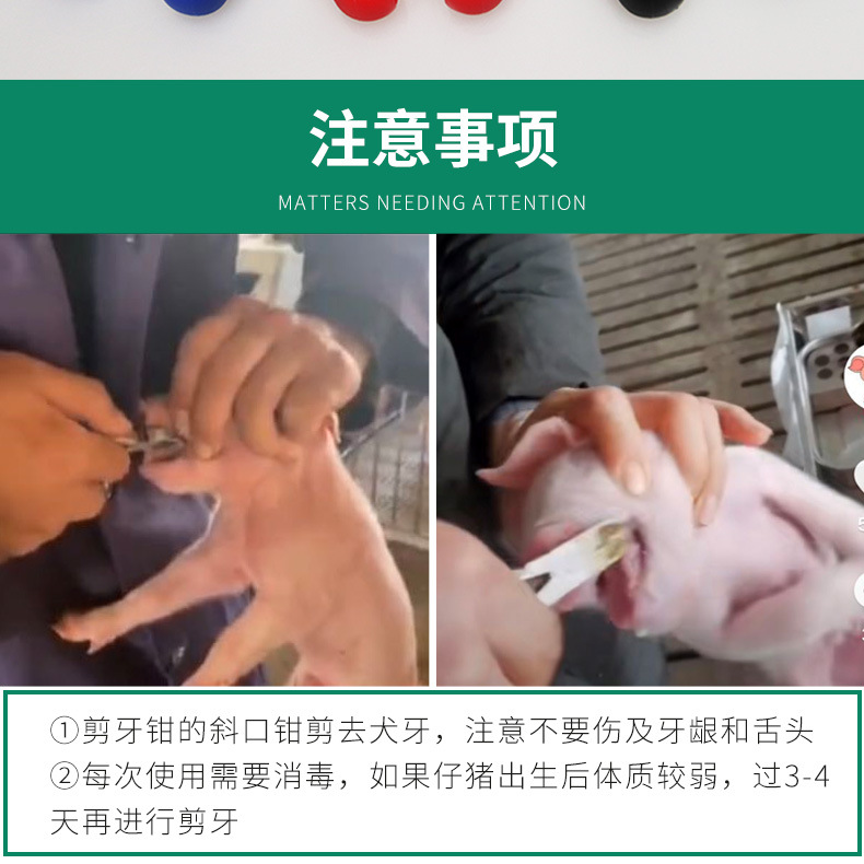 详情-15.jpg