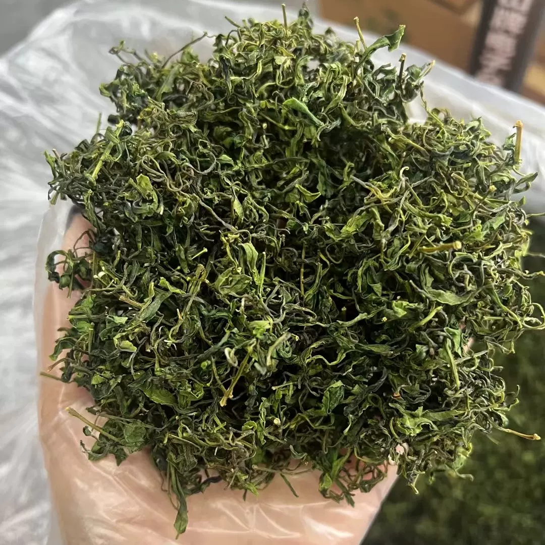 2025拱棚茶春茶明前茶散装绿茶品鉴茶一件代发一级日照新鲜茶叶