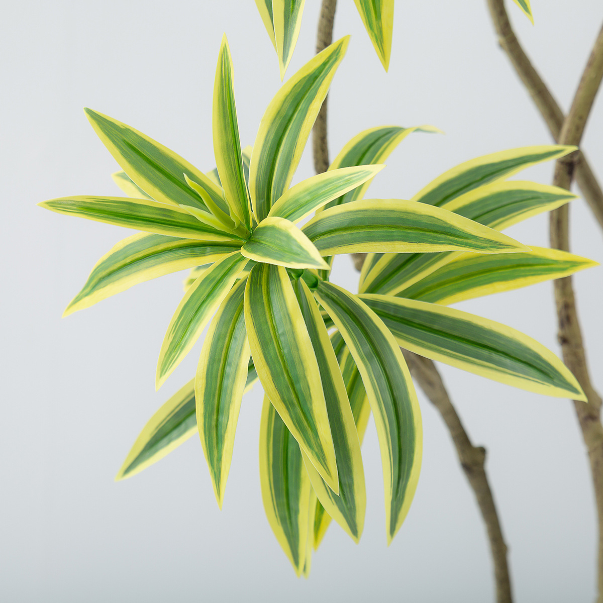 Simulación de plantas verdes, sentido avanzado, Phnom Penh, lirio, bambú, planta de piso, planta en maceta, sala de estar interior, decoración, árbol falso, bonsai