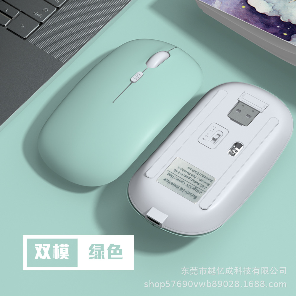 Dual-mode charging model: green (Bluetooth + 2.4G)