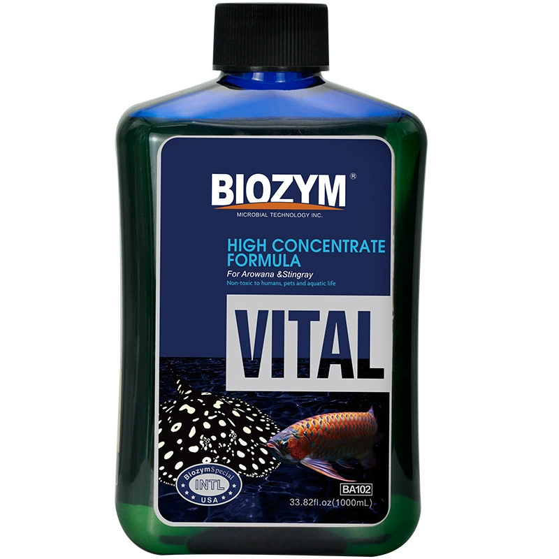 Beingmei рыба дракона улучшает анорексию Витамин питательный раствор рыба дракона биологическая жизнеспособность формула