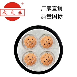 ̩늾|ZC-YJV22-4*70mm2zb|ȼ~о|