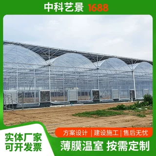 定制薄膜温室整体结构稳定性好内部利用率高使用时间长 连栋大棚