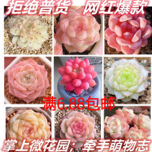 ����ֲ��M�����ԾW�t���������ײ�ˮ����w���B�҃Ⱦ�Ʒ���⎧��