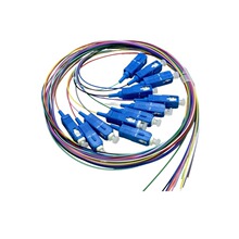 �¿�12о����SC��ģ������оƤ��SC�־���