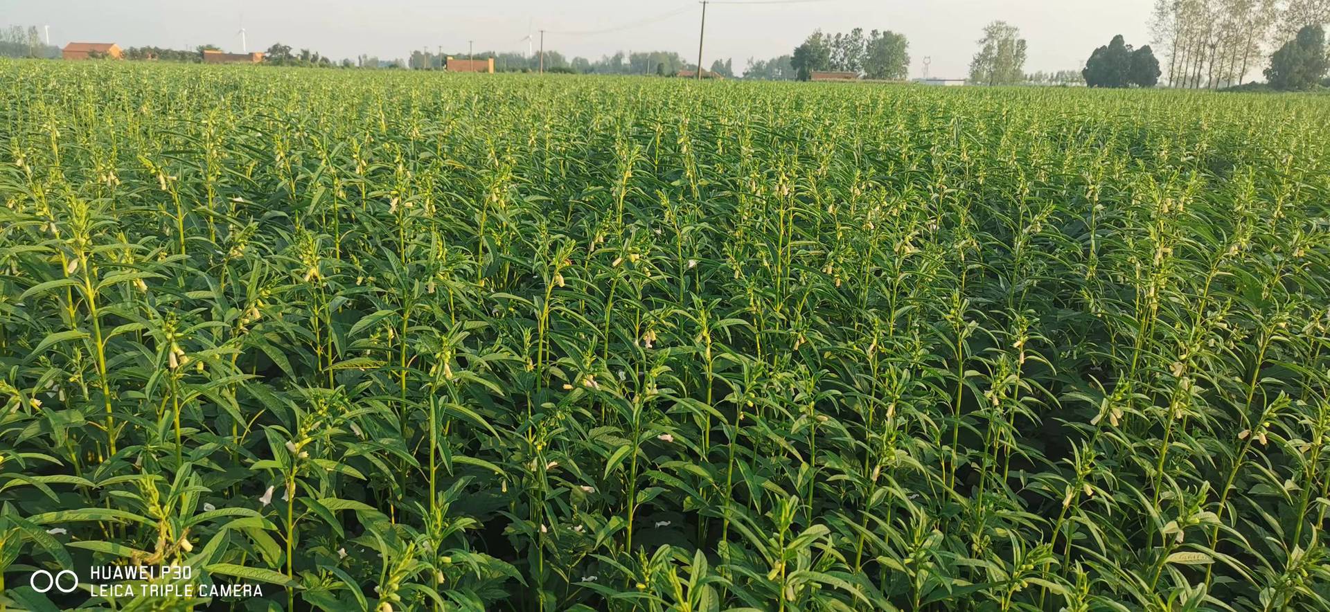 微信图片_20220717180734