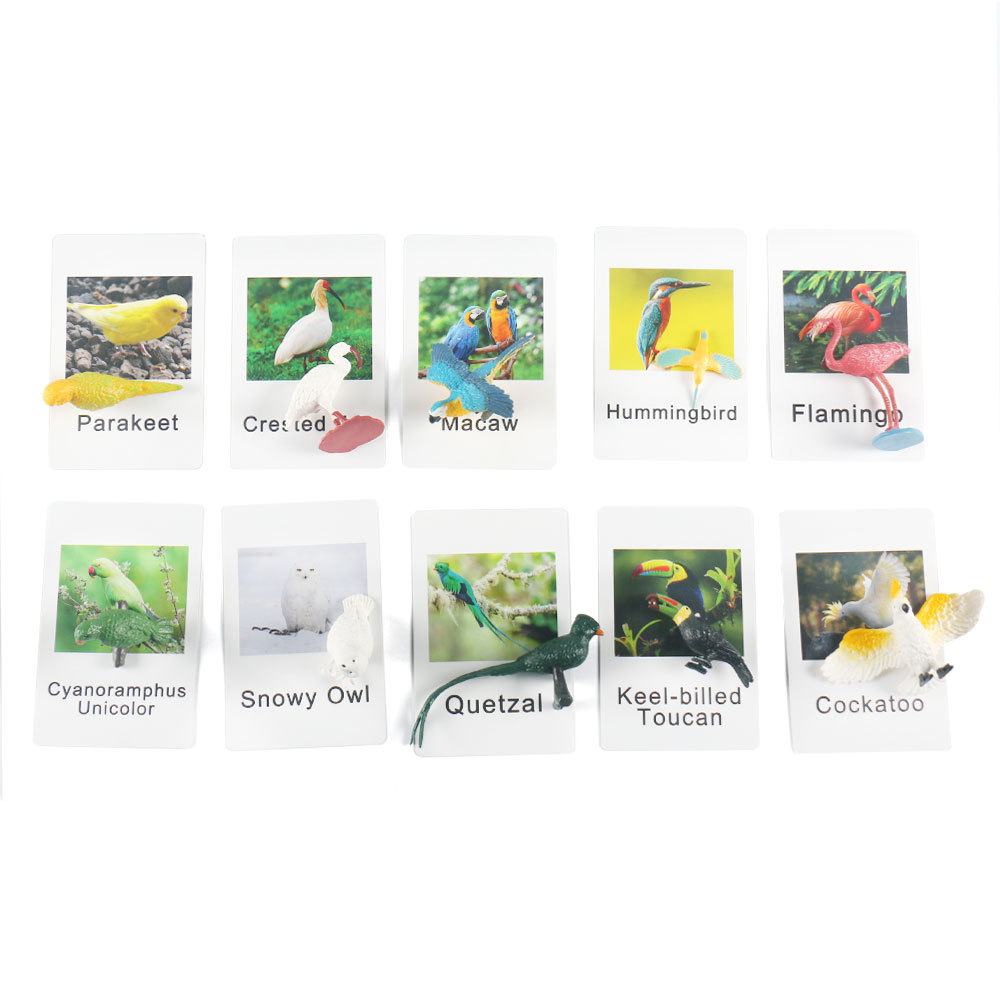 Animal model Montessori for early age