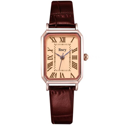 RSCY Retro Small Dial Women's Watch Unique High-end Genuine Leather Small Square Watch Lightweight Luxury Elegant Quartz Watch