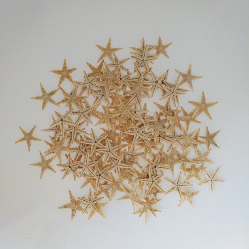 海星の部品の貝殻のミニ海星の装飾は水晶のゴムのデスクトップの置物の幼稚園の卸売りを飾ります。|undefined