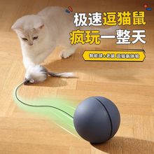 猫玩具自嗨解闷消耗体力老鼠逗猫棒猫运动电动自动逗猫亚马逊爆款