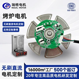 微型电动机;家电用电动机