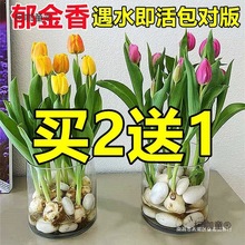 �ﻨ�����ԾGֲ�҃��B��������÷N���r��ˮ��N�Ӵ�ˮ�ɻ���̫��
