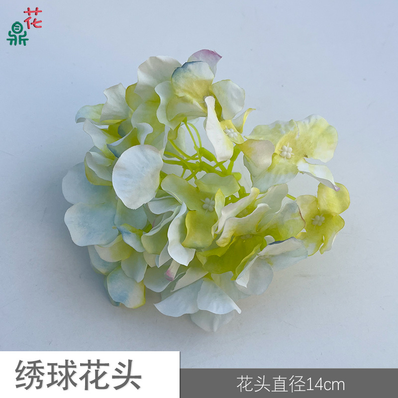 35 수국 머리 YY 블루 그린 그라디언트