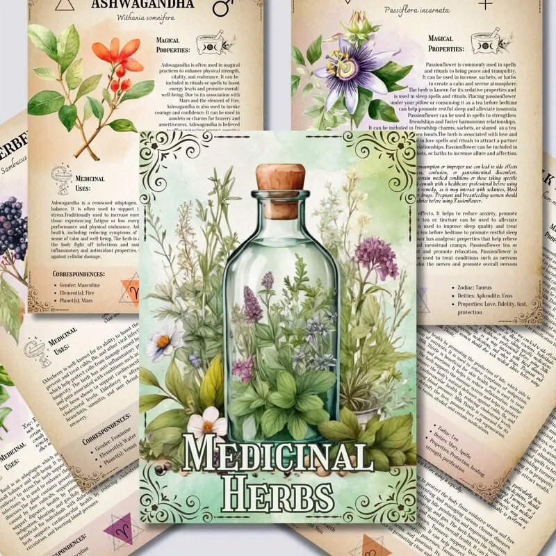 跨境新品Herbal Grimoire草药魔法本草药学习计划本|undefined