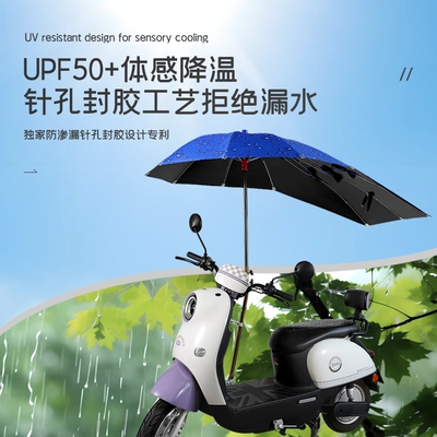Elektromobil üçün ön şüşə çətiri (günlük) | Rain Shelters, Sun Protection for