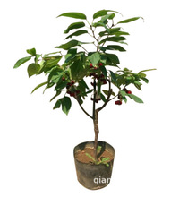 �O����ľ����1-5���ּ޽ӹ���������O�������O��������Ҙ����