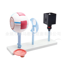 33206�����ǳ���ֱ���������ԭ����ʾ������ҽ�ƽ�ѧ��ʾģ��