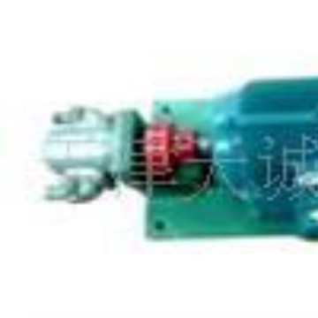 DHB系列点火泵/不锈钢齿轮泵/增压燃油泵/转子泵/内齿泵