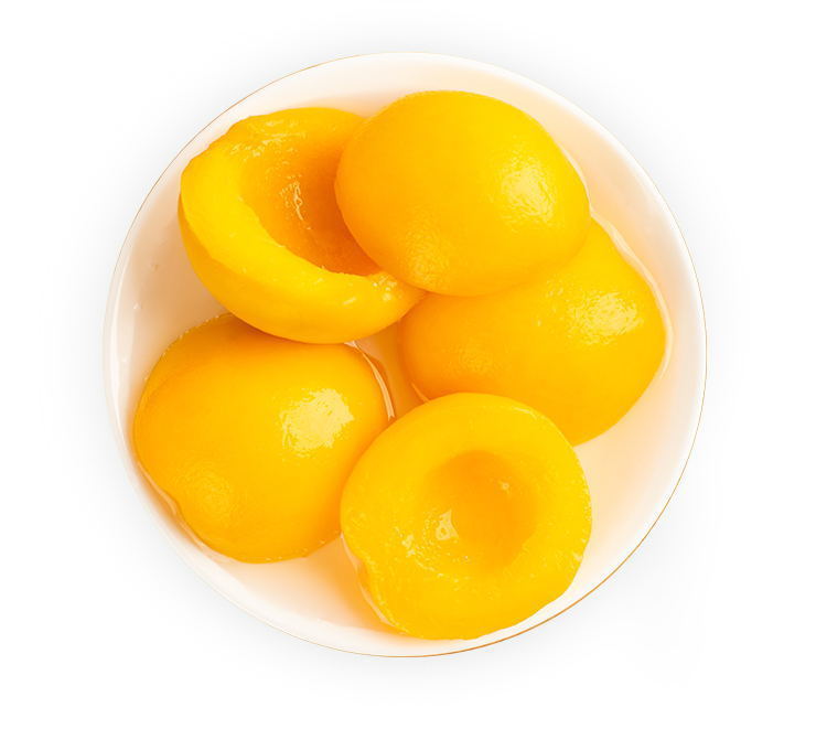 714943f2-d22f-4598-9bb4-2fb09947b9b7.jpe