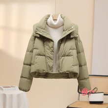 ��q�޷�Ů�̿�2024���¿��n�挒�ɼӺ�ٴ�С���Ӷ������׳�