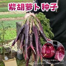 ��Ʒ�Ϻ��}���N���߲����r���|ԭ�b��ɫ���}����ɫ�����߲��װlѿ