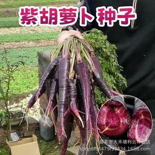 ��Ʒ�Ϻ��}���N���߲����r���|ԭ�b��ɫ���}����ɫ�����߲��װlѿ