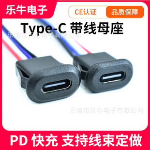 ����ʽ 4p ���� Type?C ĸ�� ȫ����֧�֔�����ݔ PD ���β��