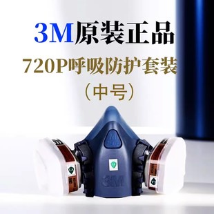 Haigu Tangan Fire and Gas Mask 3M Special Paint Dust Mask 7502 Protective Equipment