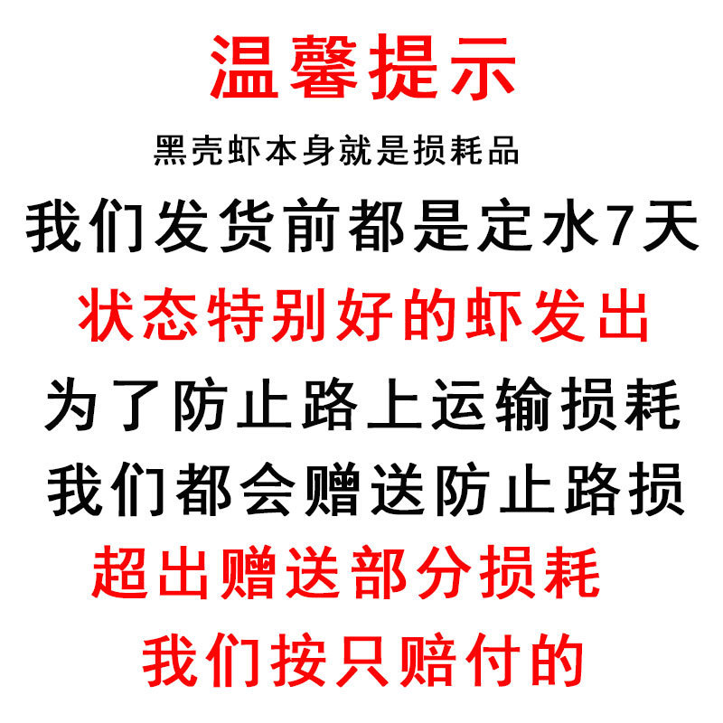 ca5d3415-d992-4566-9176-b7346334dde9.jpe