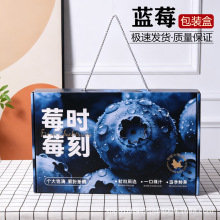 麻江蓝莓包装盒礼盒空盒子高档通用长白山大兴安岭蓝莓礼品盒批发
