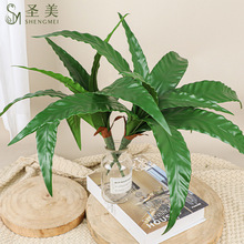 ����ާ�~�P���~�B��ާ�Gֲ���������滨�b�ֲ��G�~ܛ�b��辰ާ