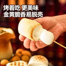 �����޻��Ǉ��t���ʳ�Ĵ�K�����ѩ����̼̿���t����ԭ�������l