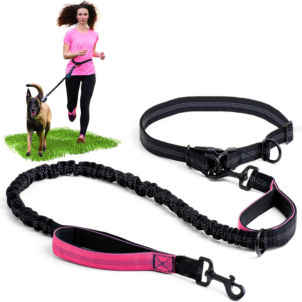 Amazon Pet Supplies Hands-Free Reflective Leash Sports Running Safety Strong Belt Dog Leash for Dogs