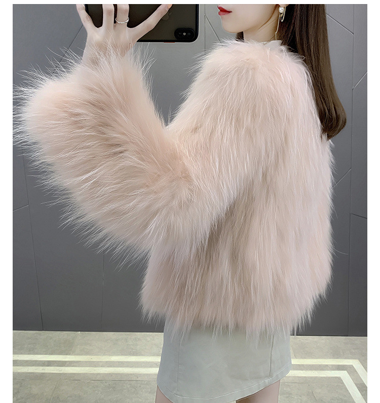 ba297d53-b51c-4dc6-9f90-9d82c1a5d32f.jpe