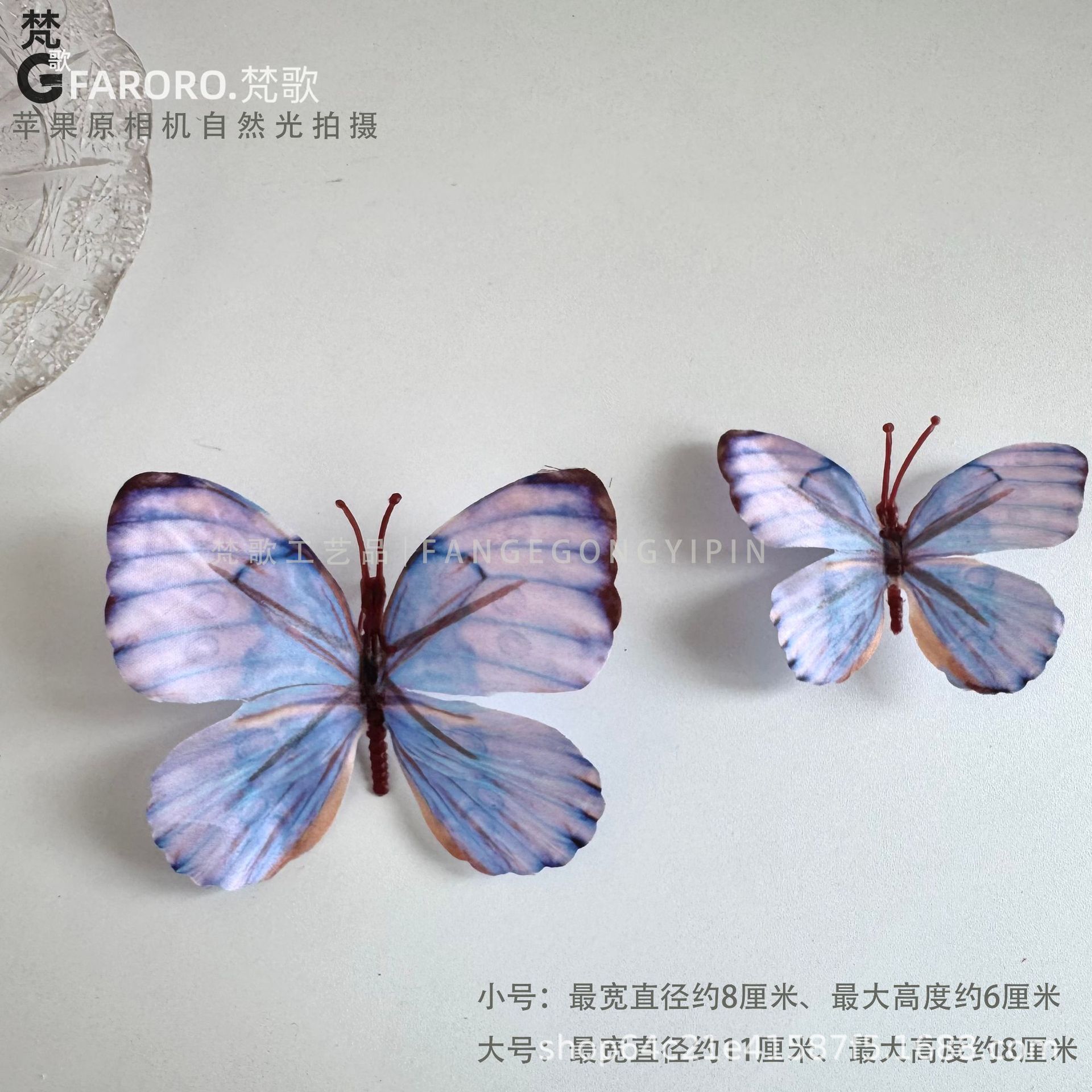 보라색 2 S 사이즈 (1팩 10개)