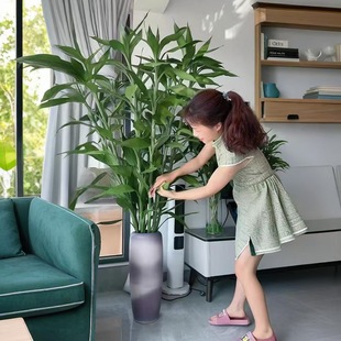 1.5�׎������F��ˮ�B��ؔ�ļ����B�҃Ȼ����׻��k������Gֲ�͏d