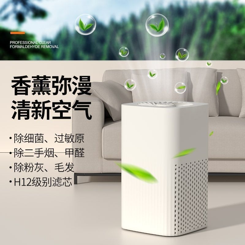 净化器家用宿舍除臭除甲醛室内紫光除菌香薰除烟味小夜灯|undefined