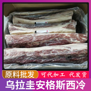 ������12/55�S����˹�������ţ��ɳ���⼹ԭ��ţ��ţ�����l