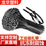 尼龙扎带100条黑色扎带捆绑白色自锁式塑料扎条扎带厂家跨境现货